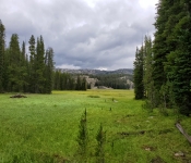 2019 Montana Folder20 004